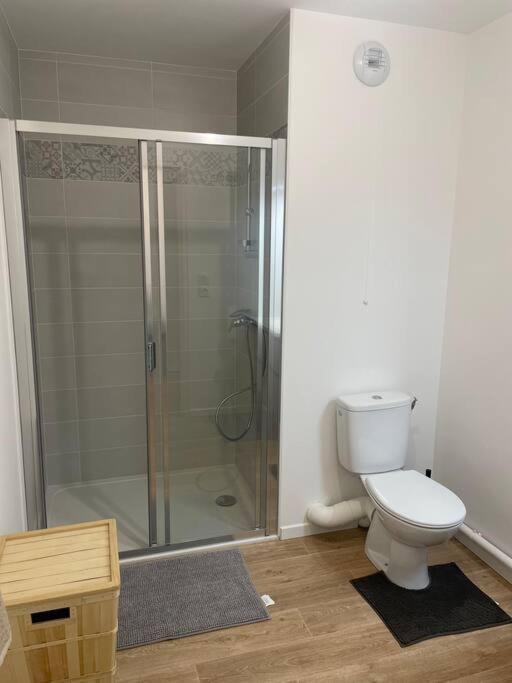 Appartement Cosy Діжон Екстер'єр фото